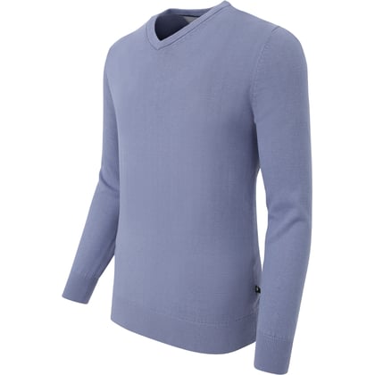 Henk ter Horst Herren V-Ausschnitt Pullover | Unifarben | 100% Baumwolle | Blaugrau