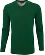 Henk ter Horst Herren V-Ausschnitt Pullover 100% Baumwolle Dunkelgrün